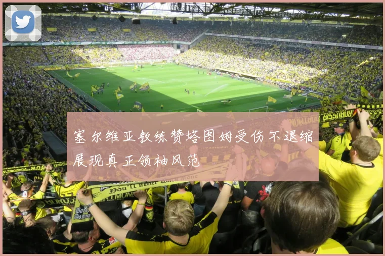 塞尔维亚教练赞塔图姆受伤不退缩展现真正领袖风范